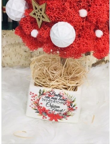 Brad decorativ “Invatatoare”